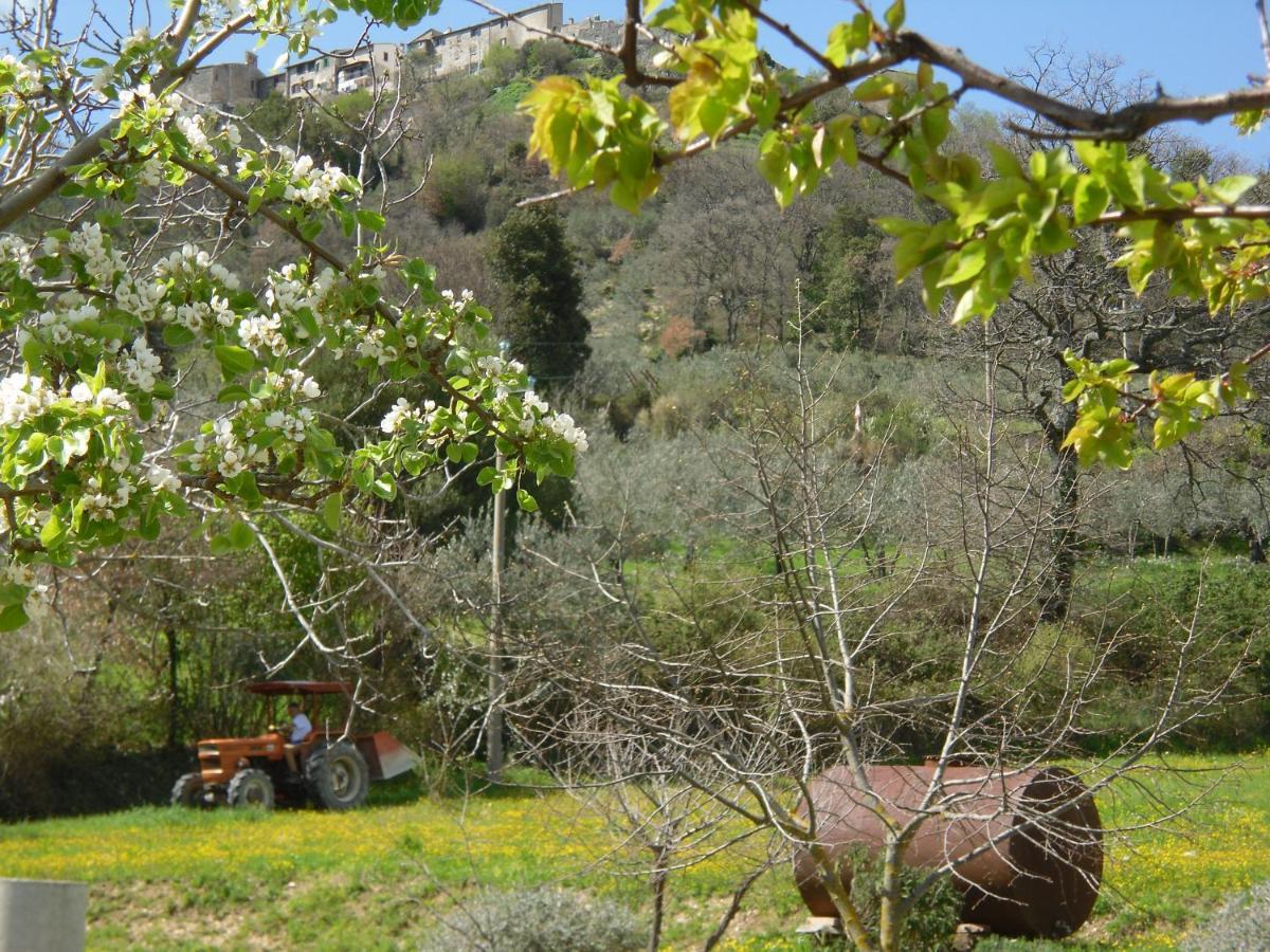 Montanari Agrivillage 나르니 외부 사진