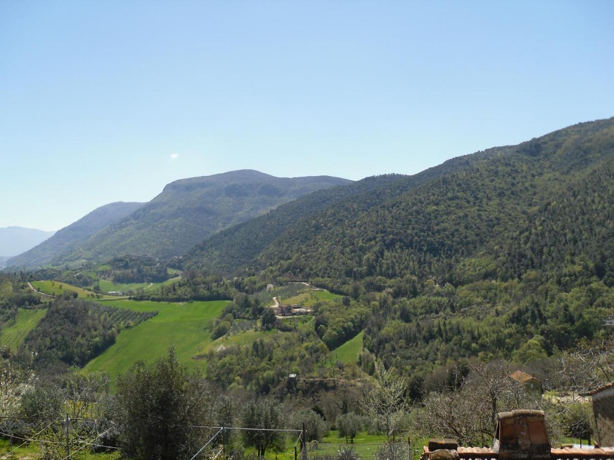 Montanari Agrivillage 나르니 외부 사진
