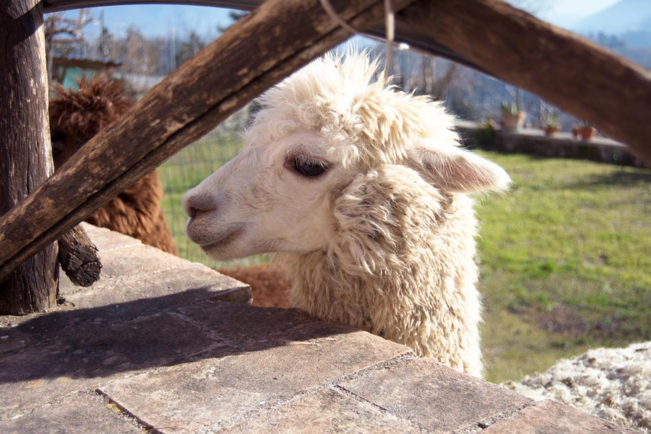 Montanari Agrivillage 나르니 외부 사진